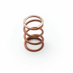 T&S Brass And Bronze Works T&S 000894-45 Spring For B-0101 Hose